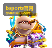 bsports官网球队情报速览