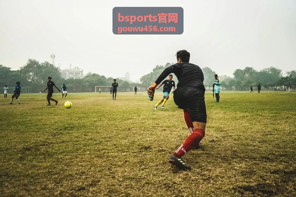 bsports官网赛事资讯数据解读配图