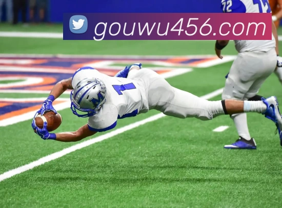 世界杯平台官网登录发展历程